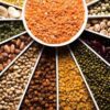 PULSES/CERELS